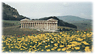 Poppies and daisies: Segesta in April.