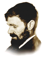 D.H. Lawrence