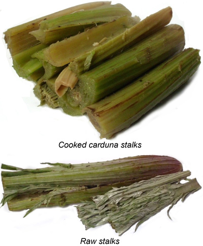 Freshly harvested cardoon stalks.