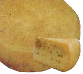 Wedge of Sicilian pecorino cheese, made from sheep's milk.