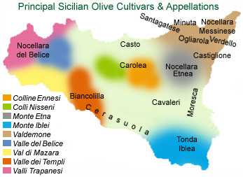 Principal olive cultivars by regional appellation.